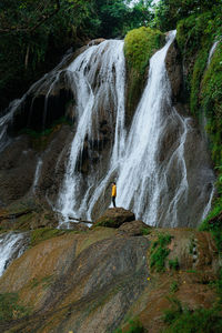 Scenic view of waterfall in forest