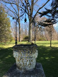 View of trees in park