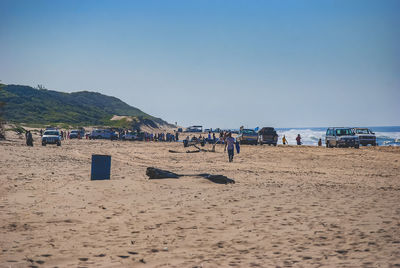 Scenic view of beach against clear sky