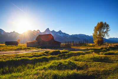 Scenic view of field against sky during sunset