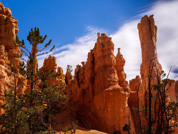 Stone formations in bryce canyon national park, utah, usa