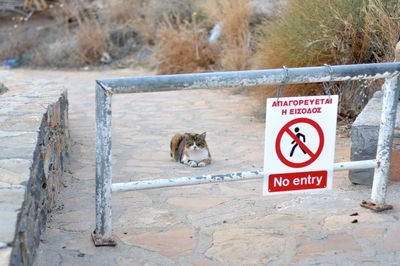 View of an animal sign on road