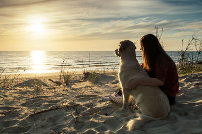 Dog sitting on beach during sunset