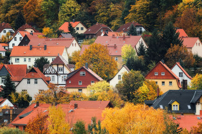 Houses and trees in town during autumn