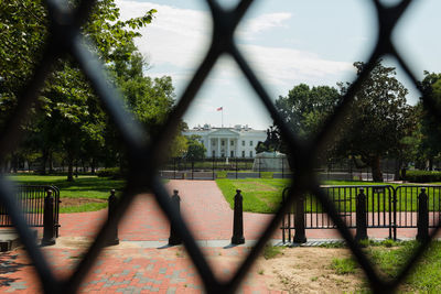 Trees and plants seen through chainlink fence