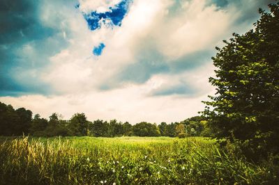 Scenic view of field against cloudy sky