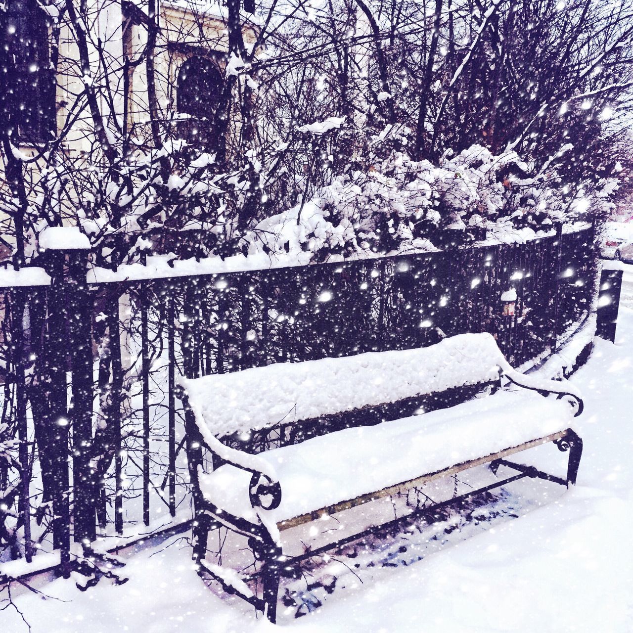 snow, winter, cold temperature, season, weather, covering, tree, white color, nature, bench, absence, transportation, day, covered, outdoors, empty, tranquility, frozen, bare tree, sunlight