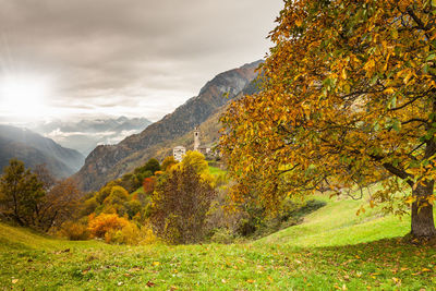 Trees on landscape against sky during autumn