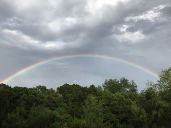 Rainbow over trees against sky