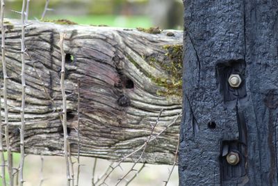Close-up of old wooden door
