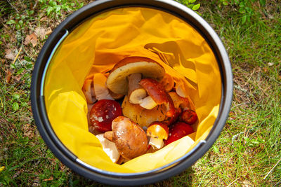 High angle view of food in container on field