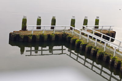 Row of trees in the dark