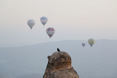 Low angle view of hot air balloons against sky