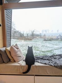 window