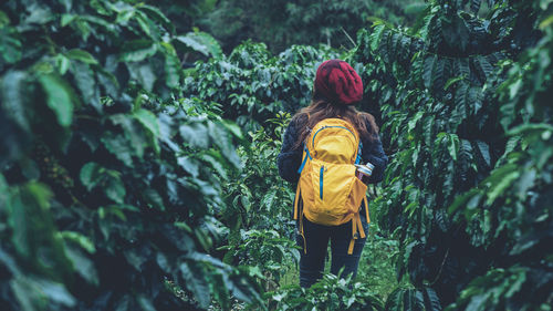 Rear view of woman standing amidst plants