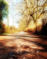 Road amidst trees against sky