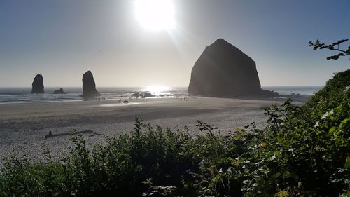 Scenic view of sea during sunset