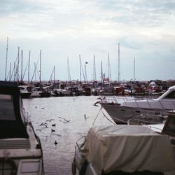 Sailboats moored at harbor against sky