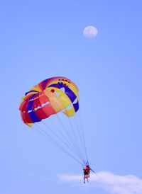 Low angle view of hot air balloons