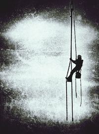 Reflection of trees in water