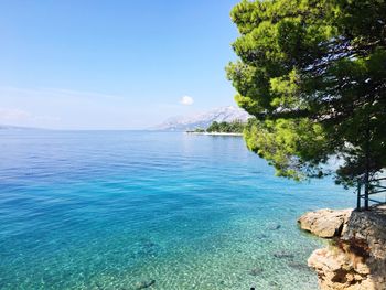 Scenic view of sea against blue sky