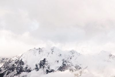 Low angle view of snow covered trees against sky