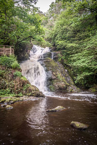 Scenic view of waterfall in forest