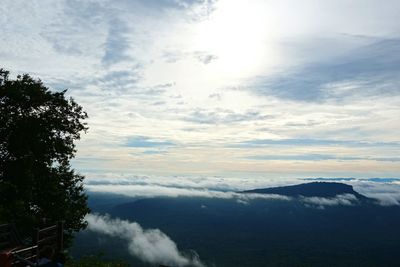 Scenic view of trees against sky