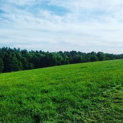 Scenic view of grassy field against cloudy sky