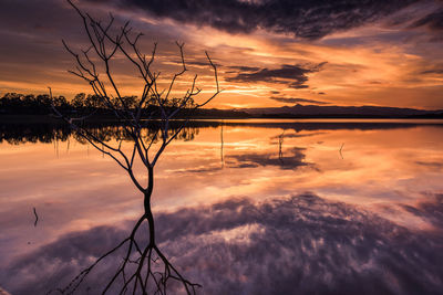 Silhouette plants by lake against sky during sunset