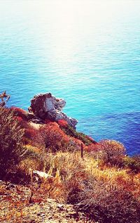 High angle view of sea shore