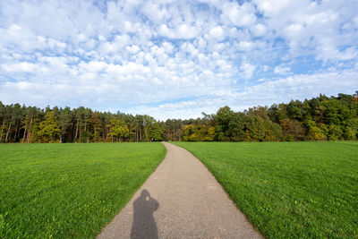 Road amidst trees against sky