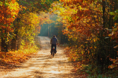 Rear view of man walking on footpath during autumn