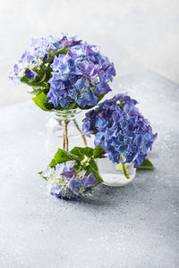 High angle view of purple flowering plant