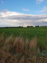 Scenic view of field against sky