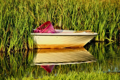 Close-up of deck chairs on grass by lake