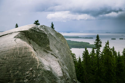 Panoramic view of rocks and trees against sky