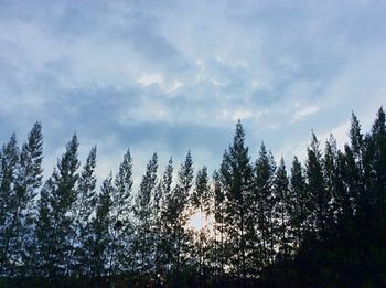 Low angle view of trees against cloudy sky