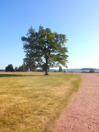 Trees on field against clear blue sky