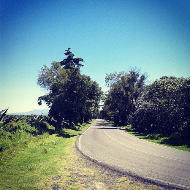 clear sky, the way forward, tree, blue, road, transportation, copy space, diminishing perspective, tranquility, tranquil scene, landscape, country road, vanishing point, nature, growth, field, grass, sunlight, long, day