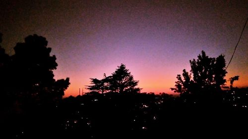 Silhouette trees against sky at night