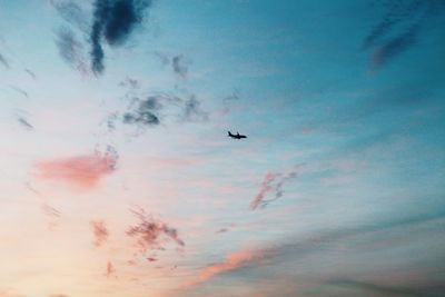 Airplane flying in sky