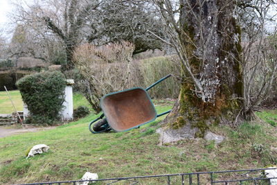 Abandoned and trees in park