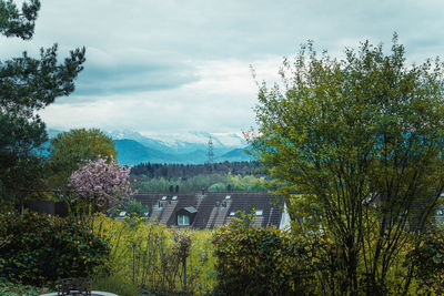 Trees and mountains against sky