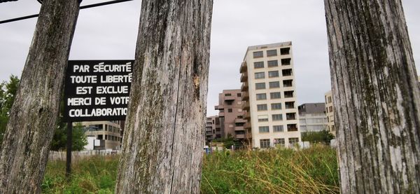 Close-up of text on tree trunk