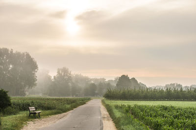 Rural scene on a hazy day with sun
