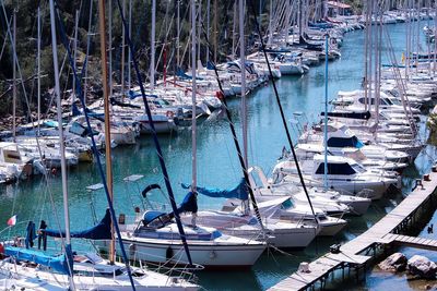 Sailboats moored at harbor