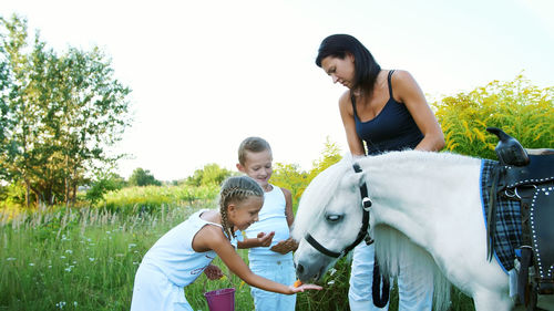 Children, a boy and a girl of seven years, fed a white pony, give to eat carrots. cheerful, happy