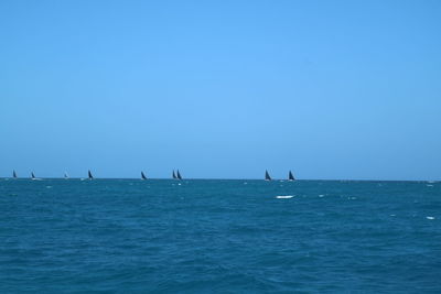 Sailboats in sea against clear blue sky