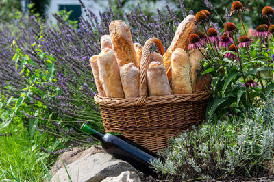 Close-up of baguette in basket on field